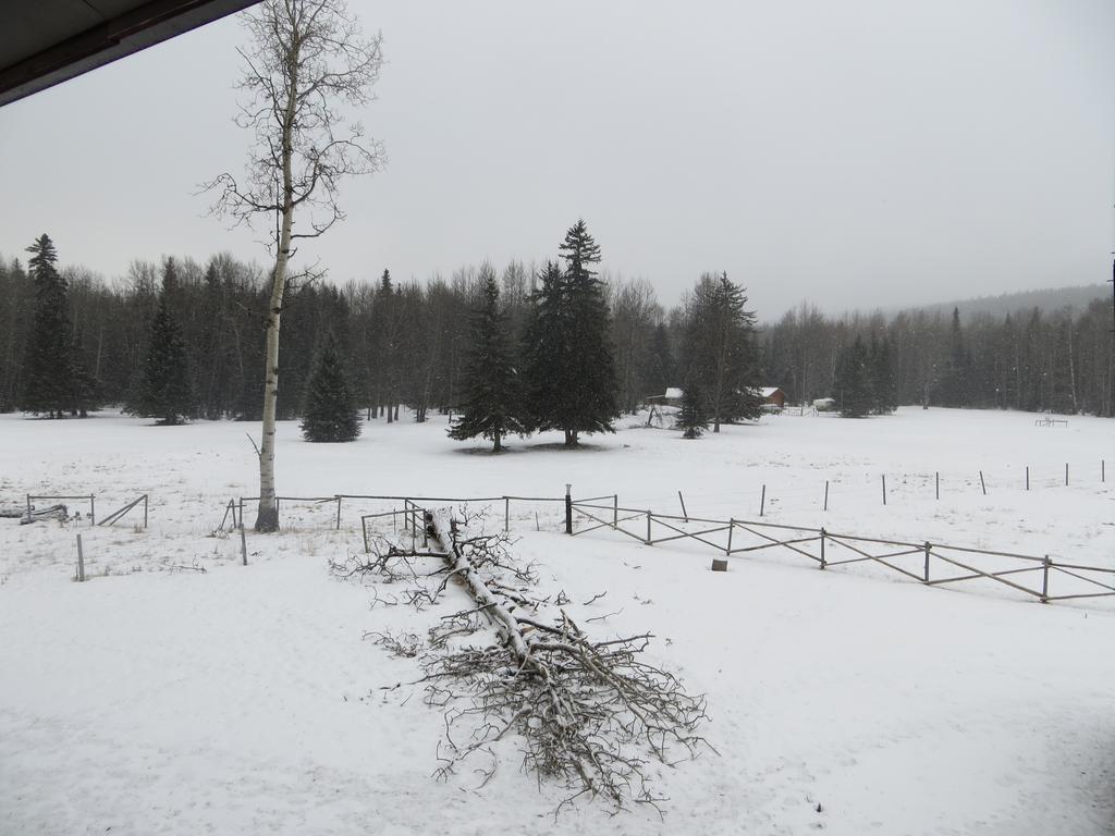 Black Cat Guest Ranch Brule Mines Kültér fotó